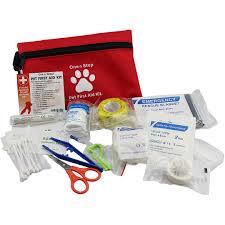 First Aid