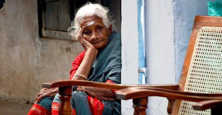 Stray oldages 2