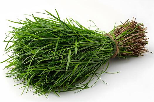 Green Grass